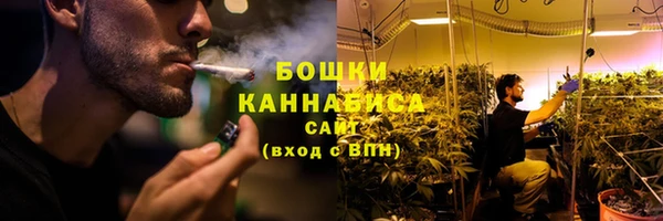 spice Елабуга