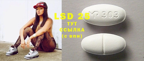 дживик Ельня