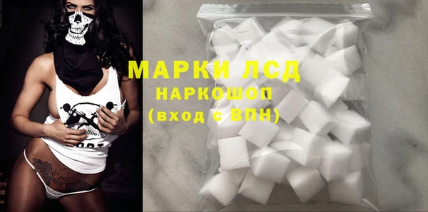 дживик Ельня