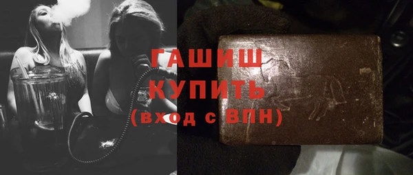 дживик Ельня