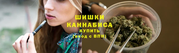 дживик Ельня