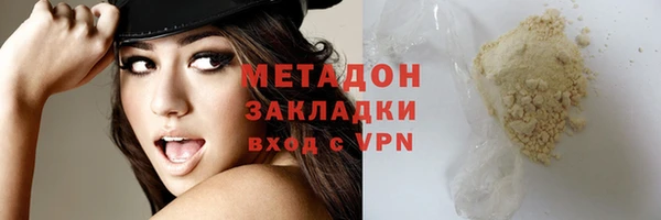 дживик Ельня