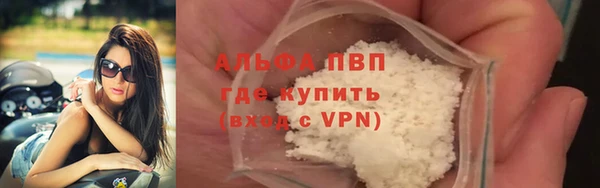 дживик Ельня