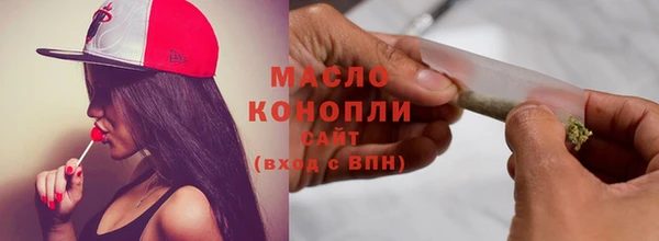дживик Ельня
