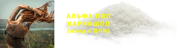 дживик Ельня