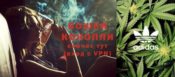дживик Ельня