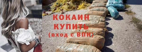 дживик Ельня