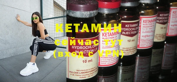 дживик Ельня