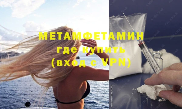 дживик Ельня
