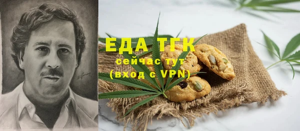 дживик Ельня