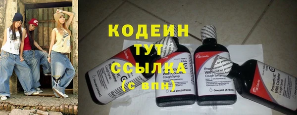 дживик Ельня