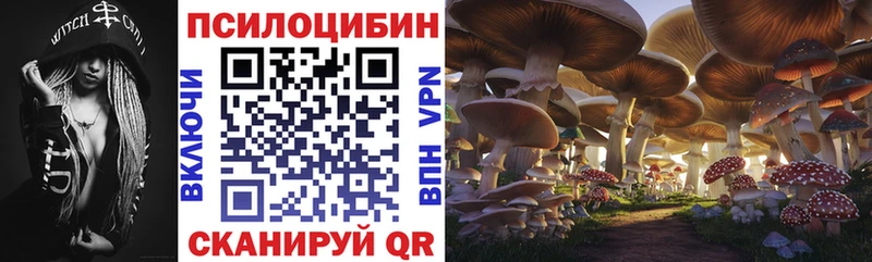 Купить Голицыно Галлюциногенные грибы Cubensis