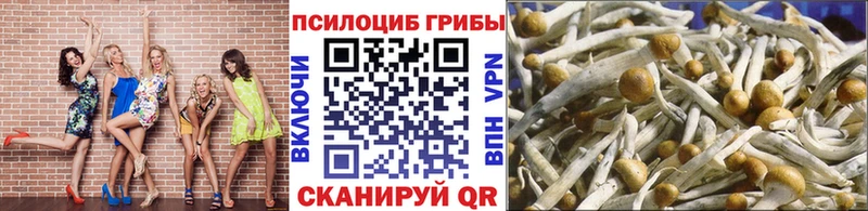 Галлюциногенные грибы Magic Shrooms Голицыно